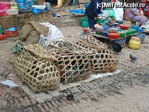 [P32] cusca pentru gaini » foto by buterfly*
 - 
<span class="allrVoted glyphicon glyphicon-heart hidden" id="av508702"></span>
<a class="m-l-10 hidden" id="sv508702" onclick="voting_Foto_DelVot(,508702,7929)" role="button">șterge vot <span class="glyphicon glyphicon-remove"></span></a>
<a id="v9508702" class=" c-red"  onclick="voting_Foto_SetVot(508702)" role="button"><span class="glyphicon glyphicon-heart-empty"></span> <b>LIKE</b> = Votează poza</a> <img class="hidden"  id="f508702W9" src="/imagini/loader.gif" border="0" /><span class="AjErrMes hidden" id="e508702ErM"></span>