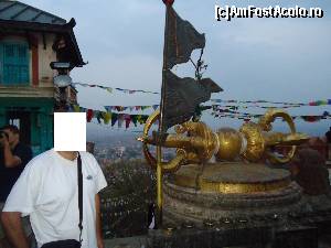 [P20]  -- <small>// FĂRĂ DESCRIERE</small> » foto by buterfly*
 - 
<span class="allrVoted glyphicon glyphicon-heart hidden" id="av509247"></span>
<a class="m-l-10 hidden" id="sv509247" onclick="voting_Foto_DelVot(,509247,7929)" role="button">șterge vot <span class="glyphicon glyphicon-remove"></span></a>
<a id="v9509247" class=" c-red"  onclick="voting_Foto_SetVot(509247)" role="button"><span class="glyphicon glyphicon-heart-empty"></span> <b>LIKE</b> = Votează poza</a> <img class="hidden"  id="f509247W9" src="/imagini/loader.gif" border="0" /><span class="AjErrMes hidden" id="e509247ErM"></span>