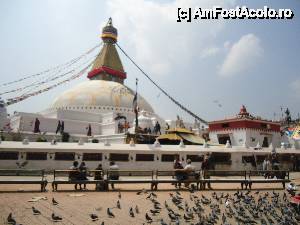 [P19]  -- <small>// FĂRĂ DESCRIERE</small> » foto by buterfly*
 - 
<span class="allrVoted glyphicon glyphicon-heart hidden" id="av510022"></span>
<a class="m-l-10 hidden" id="sv510022" onclick="voting_Foto_DelVot(,510022,7929)" role="button">șterge vot <span class="glyphicon glyphicon-remove"></span></a>
<a id="v9510022" class=" c-red"  onclick="voting_Foto_SetVot(510022)" role="button"><span class="glyphicon glyphicon-heart-empty"></span> <b>LIKE</b> = Votează poza</a> <img class="hidden"  id="f510022W9" src="/imagini/loader.gif" border="0" /><span class="AjErrMes hidden" id="e510022ErM"></span>