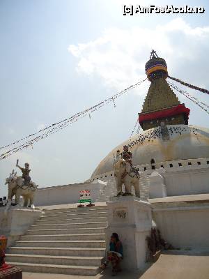 [P23]  -- <small>// FĂRĂ DESCRIERE</small> » foto by buterfly*
 - 
<span class="allrVoted glyphicon glyphicon-heart hidden" id="av510026"></span>
<a class="m-l-10 hidden" id="sv510026" onclick="voting_Foto_DelVot(,510026,7929)" role="button">șterge vot <span class="glyphicon glyphicon-remove"></span></a>
<a id="v9510026" class=" c-red"  onclick="voting_Foto_SetVot(510026)" role="button"><span class="glyphicon glyphicon-heart-empty"></span> <b>LIKE</b> = Votează poza</a> <img class="hidden"  id="f510026W9" src="/imagini/loader.gif" border="0" /><span class="AjErrMes hidden" id="e510026ErM"></span>