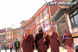 [P06] calugari buddhisti » foto by buterfly*
 - 
<span class="allrVoted glyphicon glyphicon-heart hidden" id="av510009"></span>
<a class="m-l-10 hidden" id="sv510009" onclick="voting_Foto_DelVot(,510009,7929)" role="button">șterge vot <span class="glyphicon glyphicon-remove"></span></a>
<a id="v9510009" class=" c-red"  onclick="voting_Foto_SetVot(510009)" role="button"><span class="glyphicon glyphicon-heart-empty"></span> <b>LIKE</b> = Votează poza</a> <img class="hidden"  id="f510009W9" src="/imagini/loader.gif" border="0" /><span class="AjErrMes hidden" id="e510009ErM"></span>