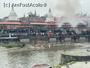 [P30] Pashupatinath » foto by Mika
 - 
<span class="allrVoted glyphicon glyphicon-heart hidden" id="av1507303"></span>
<a class="m-l-10 hidden" id="sv1507303" onclick="voting_Foto_DelVot(,1507303,7929)" role="button">șterge vot <span class="glyphicon glyphicon-remove"></span></a>
<a id="v91507303" class=" c-red"  onclick="voting_Foto_SetVot(1507303)" role="button"><span class="glyphicon glyphicon-heart-empty"></span> <b>LIKE</b> = Votează poza</a> <img class="hidden"  id="f1507303W9" src="/imagini/loader.gif" border="0" /><span class="AjErrMes hidden" id="e1507303ErM"></span>