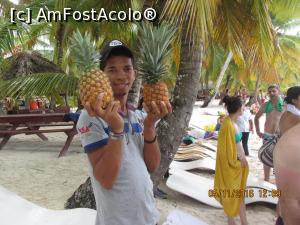 [P16] 10 dolari un coctail in ananas!!!  » foto by adri-nico
 - 
<span class="allrVoted glyphicon glyphicon-heart hidden" id="av810823"></span>
<a class="m-l-10 hidden" id="sv810823" onclick="voting_Foto_DelVot(,810823,7983)" role="button">șterge vot <span class="glyphicon glyphicon-remove"></span></a>
<a id="v9810823" class=" c-red"  onclick="voting_Foto_SetVot(810823)" role="button"><span class="glyphicon glyphicon-heart-empty"></span> <b>LIKE</b> = Votează poza</a> <img class="hidden"  id="f810823W9" src="/imagini/loader.gif" border="0" /><span class="AjErrMes hidden" id="e810823ErM"></span>