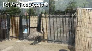 [P18] un  strut singuratic inchis la zoo » foto by grecudoina
 - 
<span class="allrVoted glyphicon glyphicon-heart hidden" id="av1200168"></span>
<a class="m-l-10 hidden" id="sv1200168" onclick="voting_Foto_DelVot(,1200168,7999)" role="button">șterge vot <span class="glyphicon glyphicon-remove"></span></a>
<a id="v91200168" class=" c-red"  onclick="voting_Foto_SetVot(1200168)" role="button"><span class="glyphicon glyphicon-heart-empty"></span> <b>LIKE</b> = Votează poza</a> <img class="hidden"  id="f1200168W9" src="/imagini/loader.gif" border="0" /><span class="AjErrMes hidden" id="e1200168ErM"></span>