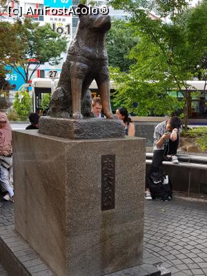 [P07] Shibuya - statuia catelului loial » foto by mcnegoita
 - 
<span class="allrVoted glyphicon glyphicon-heart hidden" id="av1013719"></span>
<a class="m-l-10 hidden" id="sv1013719" onclick="voting_Foto_DelVot(,1013719,7999)" role="button">șterge vot <span class="glyphicon glyphicon-remove"></span></a>
<a id="v91013719" class=" c-red"  onclick="voting_Foto_SetVot(1013719)" role="button"><span class="glyphicon glyphicon-heart-empty"></span> <b>LIKE</b> = Votează poza</a> <img class="hidden"  id="f1013719W9" src="/imagini/loader.gif" border="0" /><span class="AjErrMes hidden" id="e1013719ErM"></span>