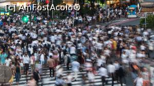 [P09] Shibuya crossing » foto by mcnegoita
 - 
<span class="allrVoted glyphicon glyphicon-heart hidden" id="av1013721"></span>
<a class="m-l-10 hidden" id="sv1013721" onclick="voting_Foto_DelVot(,1013721,7999)" role="button">șterge vot <span class="glyphicon glyphicon-remove"></span></a>
<a id="v91013721" class=" c-red"  onclick="voting_Foto_SetVot(1013721)" role="button"><span class="glyphicon glyphicon-heart-empty"></span> <b>LIKE</b> = Votează poza</a> <img class="hidden"  id="f1013721W9" src="/imagini/loader.gif" border="0" /><span class="AjErrMes hidden" id="e1013721ErM"></span>