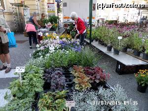 [P109] Bad Ischl-Wochenmarkt » foto by Alina53
 - 
<span class="allrVoted glyphicon glyphicon-heart hidden" id="av684945"></span>
<a class="m-l-10 hidden" id="sv684945" onclick="voting_Foto_DelVot(,684945,8013)" role="button">șterge vot <span class="glyphicon glyphicon-remove"></span></a>
<a id="v9684945" class=" c-red"  onclick="voting_Foto_SetVot(684945)" role="button"><span class="glyphicon glyphicon-heart-empty"></span> <b>LIKE</b> = Votează poza</a> <img class="hidden"  id="f684945W9" src="/imagini/loader.gif" border="0" /><span class="AjErrMes hidden" id="e684945ErM"></span>