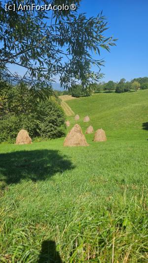 [P11] Prin poieni de oameni harnici. » foto by Radix7
 - 
<span class="allrVoted glyphicon glyphicon-heart hidden" id="av1496975"></span>
<a class="m-l-10 hidden" id="sv1496975" onclick="voting_Foto_DelVot(,1496975,8046)" role="button">șterge vot <span class="glyphicon glyphicon-remove"></span></a>
<a id="v91496975" class=" c-red"  onclick="voting_Foto_SetVot(1496975)" role="button"><span class="glyphicon glyphicon-heart-empty"></span> <b>LIKE</b> = Votează poza</a> <img class="hidden"  id="f1496975W9" src="/imagini/loader.gif" border="0" /><span class="AjErrMes hidden" id="e1496975ErM"></span>