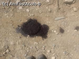 [P08] Hoopa, cineva a fost la zmeuriș! » foto by Radix7
 - 
<span class="allrVoted glyphicon glyphicon-heart hidden" id="av1496972"></span>
<a class="m-l-10 hidden" id="sv1496972" onclick="voting_Foto_DelVot(,1496972,8046)" role="button">șterge vot <span class="glyphicon glyphicon-remove"></span></a>
<a id="v91496972" class=" c-red"  onclick="voting_Foto_SetVot(1496972)" role="button"><span class="glyphicon glyphicon-heart-empty"></span> <b>LIKE</b> = Votează poza</a> <img class="hidden"  id="f1496972W9" src="/imagini/loader.gif" border="0" /><span class="AjErrMes hidden" id="e1496972ErM"></span>