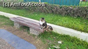 [P02] Mitzi curioasă » foto by k-lator
 - 
<span class="allrVoted glyphicon glyphicon-heart hidden" id="av1425972"></span>
<a class="m-l-10 hidden" id="sv1425972" onclick="voting_Foto_DelVot(,1425972,8053)" role="button">șterge vot <span class="glyphicon glyphicon-remove"></span></a>
<a id="v91425972" class=" c-red"  onclick="voting_Foto_SetVot(1425972)" role="button"><span class="glyphicon glyphicon-heart-empty"></span> <b>LIKE</b> = Votează poza</a> <img class="hidden"  id="f1425972W9" src="/imagini/loader.gif" border="0" /><span class="AjErrMes hidden" id="e1425972ErM"></span>