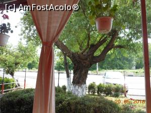 [P21] Giurgiu - Restaurant Prietenia. Vedere de pe terasă.  » foto by iulianic
 - 
<span class="allrVoted glyphicon glyphicon-heart hidden" id="av968144"></span>
<a class="m-l-10 hidden" id="sv968144" onclick="voting_Foto_DelVot(,968144,8083)" role="button">șterge vot <span class="glyphicon glyphicon-remove"></span></a>
<a id="v9968144" class=" c-red"  onclick="voting_Foto_SetVot(968144)" role="button"><span class="glyphicon glyphicon-heart-empty"></span> <b>LIKE</b> = Votează poza</a> <img class="hidden"  id="f968144W9" src="/imagini/loader.gif" border="0" /><span class="AjErrMes hidden" id="e968144ErM"></span>