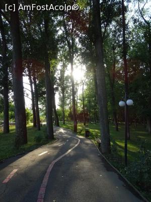 [P10] Alee în parc. » foto by tata123 🔱
 - 
<span class="allrVoted glyphicon glyphicon-heart hidden" id="av1314426"></span>
<a class="m-l-10 hidden" id="sv1314426" onclick="voting_Foto_DelVot(,1314426,8118)" role="button">șterge vot <span class="glyphicon glyphicon-remove"></span></a>
<a id="v91314426" class=" c-red"  onclick="voting_Foto_SetVot(1314426)" role="button"><span class="glyphicon glyphicon-heart-empty"></span> <b>LIKE</b> = Votează poza</a> <img class="hidden"  id="f1314426W9" src="/imagini/loader.gif" border="0" /><span class="AjErrMes hidden" id="e1314426ErM"></span>
