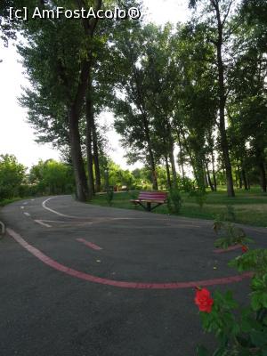 [P11] Pistă de biciclete marcată separat. » foto by tata123 🔱
 - 
<span class="allrVoted glyphicon glyphicon-heart hidden" id="av1314427"></span>
<a class="m-l-10 hidden" id="sv1314427" onclick="voting_Foto_DelVot(,1314427,8118)" role="button">șterge vot <span class="glyphicon glyphicon-remove"></span></a>
<a id="v91314427" class=" c-red"  onclick="voting_Foto_SetVot(1314427)" role="button"><span class="glyphicon glyphicon-heart-empty"></span> <b>LIKE</b> = Votează poza</a> <img class="hidden"  id="f1314427W9" src="/imagini/loader.gif" border="0" /><span class="AjErrMes hidden" id="e1314427ErM"></span>