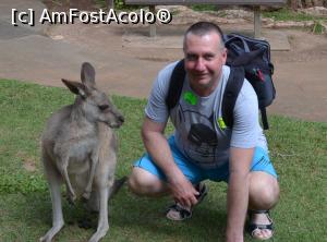 P06 [AUG-2023] Ăsta îs, chiar și prietenul meu din Australia se uita ciudat la mine, ce caută nebunul ăsta pe aci...