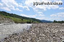 [P04] ce poate fi mai frumos decat un colt de amintire? » foto by Sanziana
 - 
<span class="allrVoted glyphicon glyphicon-heart hidden" id="av168443"></span>
<a class="m-l-10 hidden" id="sv168443" onclick="voting_Foto_DelVot(,168443,8128)" role="button">șterge vot <span class="glyphicon glyphicon-remove"></span></a>
<a id="v9168443" class=" c-red"  onclick="voting_Foto_SetVot(168443)" role="button"><span class="glyphicon glyphicon-heart-empty"></span> <b>LIKE</b> = Votează poza</a> <img class="hidden"  id="f168443W9" src="/imagini/loader.gif" border="0" /><span class="AjErrMes hidden" id="e168443ErM"></span>