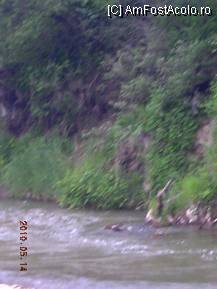 [P11] Apa învolburată » foto by abbilbal*
 - 
<span class="allrVoted glyphicon glyphicon-heart hidden" id="av96971"></span>
<a class="m-l-10 hidden" id="sv96971" onclick="voting_Foto_DelVot(,96971,8128)" role="button">șterge vot <span class="glyphicon glyphicon-remove"></span></a>
<a id="v996971" class=" c-red"  onclick="voting_Foto_SetVot(96971)" role="button"><span class="glyphicon glyphicon-heart-empty"></span> <b>LIKE</b> = Votează poza</a> <img class="hidden"  id="f96971W9" src="/imagini/loader.gif" border="0" /><span class="AjErrMes hidden" id="e96971ErM"></span>