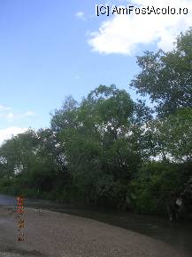 [P12] Noi sedimentări de mâl şi pietriş. » foto by abbilbal*
 - 
<span class="allrVoted glyphicon glyphicon-heart hidden" id="av96972"></span>
<a class="m-l-10 hidden" id="sv96972" onclick="voting_Foto_DelVot(,96972,8128)" role="button">șterge vot <span class="glyphicon glyphicon-remove"></span></a>
<a id="v996972" class=" c-red"  onclick="voting_Foto_SetVot(96972)" role="button"><span class="glyphicon glyphicon-heart-empty"></span> <b>LIKE</b> = Votează poza</a> <img class="hidden"  id="f96972W9" src="/imagini/loader.gif" border="0" /><span class="AjErrMes hidden" id="e96972ErM"></span>