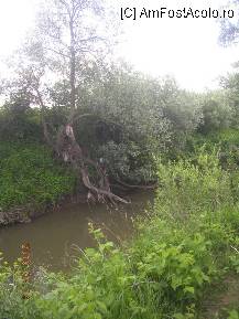 [P22] Salcă ruptă şi căzută-n apă. » foto by abbilbal*
 - 
<span class="allrVoted glyphicon glyphicon-heart hidden" id="av96985"></span>
<a class="m-l-10 hidden" id="sv96985" onclick="voting_Foto_DelVot(,96985,8128)" role="button">șterge vot <span class="glyphicon glyphicon-remove"></span></a>
<a id="v996985" class=" c-red"  onclick="voting_Foto_SetVot(96985)" role="button"><span class="glyphicon glyphicon-heart-empty"></span> <b>LIKE</b> = Votează poza</a> <img class="hidden"  id="f96985W9" src="/imagini/loader.gif" border="0" /><span class="AjErrMes hidden" id="e96985ErM"></span>