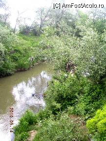 [P24] Mingea pe apă. O vedeţi? Este una albastră. » foto by abbilbal*
 - 
<span class="allrVoted glyphicon glyphicon-heart hidden" id="av96988"></span>
<a class="m-l-10 hidden" id="sv96988" onclick="voting_Foto_DelVot(,96988,8128)" role="button">șterge vot <span class="glyphicon glyphicon-remove"></span></a>
<a id="v996988" class=" c-red"  onclick="voting_Foto_SetVot(96988)" role="button"><span class="glyphicon glyphicon-heart-empty"></span> <b>LIKE</b> = Votează poza</a> <img class="hidden"  id="f96988W9" src="/imagini/loader.gif" border="0" /><span class="AjErrMes hidden" id="e96988ErM"></span>