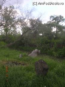 [P03] Nişte butuci pe malul Ampoiului. » foto by abbilbal*
 - 
<span class="allrVoted glyphicon glyphicon-heart hidden" id="av96963"></span>
<a class="m-l-10 hidden" id="sv96963" onclick="voting_Foto_DelVot(,96963,8128)" role="button">șterge vot <span class="glyphicon glyphicon-remove"></span></a>
<a id="v996963" class=" c-red"  onclick="voting_Foto_SetVot(96963)" role="button"><span class="glyphicon glyphicon-heart-empty"></span> <b>LIKE</b> = Votează poza</a> <img class="hidden"  id="f96963W9" src="/imagini/loader.gif" border="0" /><span class="AjErrMes hidden" id="e96963ErM"></span>