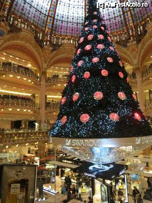 [P13] La Galeriile Lafayette, se ridica bradul de Craciun plin cu cristale Swarovski » foto by dorgo
 - 
<span class="allrVoted glyphicon glyphicon-heart hidden" id="av692409"></span>
<a class="m-l-10 hidden" id="sv692409" onclick="voting_Foto_DelVot(,692409,8129)" role="button">șterge vot <span class="glyphicon glyphicon-remove"></span></a>
<a id="v9692409" class=" c-red"  onclick="voting_Foto_SetVot(692409)" role="button"><span class="glyphicon glyphicon-heart-empty"></span> <b>LIKE</b> = Votează poza</a> <img class="hidden"  id="f692409W9" src="/imagini/loader.gif" border="0" /><span class="AjErrMes hidden" id="e692409ErM"></span>