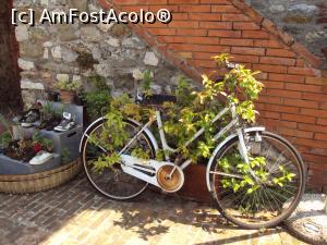 [P14] Isola Maggiore - o bicicletă îmbrăcată în frunze » foto by Carmen Ion
 - 
<span class="allrVoted glyphicon glyphicon-heart hidden" id="av1000486"></span>
<a class="m-l-10 hidden" id="sv1000486" onclick="voting_Foto_DelVot(,1000486,8154)" role="button">șterge vot <span class="glyphicon glyphicon-remove"></span></a>
<a id="v91000486" class=" c-red"  onclick="voting_Foto_SetVot(1000486)" role="button"><span class="glyphicon glyphicon-heart-empty"></span> <b>LIKE</b> = Votează poza</a> <img class="hidden"  id="f1000486W9" src="/imagini/loader.gif" border="0" /><span class="AjErrMes hidden" id="e1000486ErM"></span>