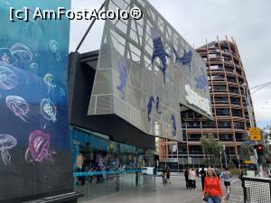 [P18] Intrarea la Sea Life-acvariul din Melbourne » foto by AZE
 - 
<span class="allrVoted glyphicon glyphicon-heart hidden" id="av1366845"></span>
<a class="m-l-10 hidden" id="sv1366845" onclick="voting_Foto_DelVot(,1366845,8157)" role="button">șterge vot <span class="glyphicon glyphicon-remove"></span></a>
<a id="v91366845" class=" c-red"  onclick="voting_Foto_SetVot(1366845)" role="button"><span class="glyphicon glyphicon-heart-empty"></span> <b>LIKE</b> = Votează poza</a> <img class="hidden"  id="f1366845W9" src="/imagini/loader.gif" border="0" /><span class="AjErrMes hidden" id="e1366845ErM"></span>