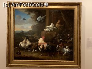 [P40] The Poultry yard de Melchior D Hondecoeter Germania sec XVII » foto by AZE
 - 
<span class="allrVoted glyphicon glyphicon-heart hidden" id="av1372016"></span>
<a class="m-l-10 hidden" id="sv1372016" onclick="voting_Foto_DelVot(,1372016,8157)" role="button">șterge vot <span class="glyphicon glyphicon-remove"></span></a>
<a id="v91372016" class=" c-red"  onclick="voting_Foto_SetVot(1372016)" role="button"><span class="glyphicon glyphicon-heart-empty"></span> <b>LIKE</b> = Votează poza</a> <img class="hidden"  id="f1372016W9" src="/imagini/loader.gif" border="0" /><span class="AjErrMes hidden" id="e1372016ErM"></span>