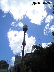 [P12] AMT-Tower-Sydney » foto by grecudoina
 - 
<span class="allrVoted glyphicon glyphicon-heart hidden" id="av275207"></span>
<a class="m-l-10 hidden" id="sv275207" onclick="voting_Foto_DelVot(,275207,8165)" role="button">șterge vot <span class="glyphicon glyphicon-remove"></span></a>
<a id="v9275207" class=" c-red"  onclick="voting_Foto_SetVot(275207)" role="button"><span class="glyphicon glyphicon-heart-empty"></span> <b>LIKE</b> = Votează poza</a> <img class="hidden"  id="f275207W9" src="/imagini/loader.gif" border="0" /><span class="AjErrMes hidden" id="e275207ErM"></span>