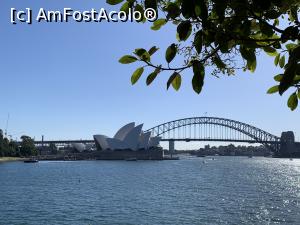 [P01] Harbour Bridge văzut împreună cu Sydnei Opera de la locul numit Maquaries Chair » foto by AZE
 - 
<span class="allrVoted glyphicon glyphicon-heart hidden" id="av1387544"></span>
<a class="m-l-10 hidden" id="sv1387544" onclick="voting_Foto_DelVot(,1387544,8165)" role="button">șterge vot <span class="glyphicon glyphicon-remove"></span></a>
<a id="v91387544" class=" c-red"  onclick="voting_Foto_SetVot(1387544)" role="button"><span class="glyphicon glyphicon-heart-empty"></span> <b>LIKE</b> = Votează poza</a> <img class="hidden"  id="f1387544W9" src="/imagini/loader.gif" border="0" /><span class="AjErrMes hidden" id="e1387544ErM"></span>