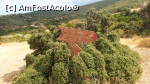 [P04] Drakospita - casele dragonilor; indicatoare „turistice” » foto by Dragoș_MD
 - 
<span class="allrVoted glyphicon glyphicon-heart hidden" id="av1111219"></span>
<a class="m-l-10 hidden" id="sv1111219" onclick="voting_Foto_DelVot(,1111219,8175)" role="button">șterge vot <span class="glyphicon glyphicon-remove"></span></a>
<a id="v91111219" class=" c-red"  onclick="voting_Foto_SetVot(1111219)" role="button"><span class="glyphicon glyphicon-heart-empty"></span> <b>LIKE</b> = Votează poza</a> <img class="hidden"  id="f1111219W9" src="/imagini/loader.gif" border="0" /><span class="AjErrMes hidden" id="e1111219ErM"></span>