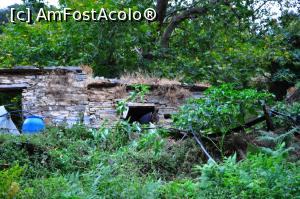 [P16] Căluțul ce ne privea mirat pe fereastra „casei lui” din Lenosei » foto by Dragoș_MD
 - 
<span class="allrVoted glyphicon glyphicon-heart hidden" id="av1144609"></span>
<a class="m-l-10 hidden" id="sv1144609" onclick="voting_Foto_DelVot(,1144609,8175)" role="button">șterge vot <span class="glyphicon glyphicon-remove"></span></a>
<a id="v91144609" class=" c-red"  onclick="voting_Foto_SetVot(1144609)" role="button"><span class="glyphicon glyphicon-heart-empty"></span> <b>LIKE</b> = Votează poza</a> <img class="hidden"  id="f1144609W9" src="/imagini/loader.gif" border="0" /><span class="AjErrMes hidden" id="e1144609ErM"></span>