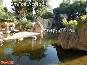 [P33] Bioparc » foto by Costi
 - 
<span class="allrVoted glyphicon glyphicon-heart hidden" id="av927059"></span>
<a class="m-l-10 hidden" id="sv927059" onclick="voting_Foto_DelVot(,927059,8268)" role="button">șterge vot <span class="glyphicon glyphicon-remove"></span></a>
<a id="v9927059" class=" c-red"  onclick="voting_Foto_SetVot(927059)" role="button"><span class="glyphicon glyphicon-heart-empty"></span> <b>LIKE</b> = Votează poza</a> <img class="hidden"  id="f927059W9" src="/imagini/loader.gif" border="0" /><span class="AjErrMes hidden" id="e927059ErM"></span>