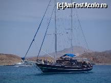 [P01] Excursie pe Marea Rosie » foto by bogdansenior
 - 
<span class="allrVoted glyphicon glyphicon-heart hidden" id="av200404"></span>
<a class="m-l-10 hidden" id="sv200404" onclick="voting_Foto_DelVot(,200404,8284)" role="button">șterge vot <span class="glyphicon glyphicon-remove"></span></a>
<a id="v9200404" class=" c-red"  onclick="voting_Foto_SetVot(200404)" role="button"><span class="glyphicon glyphicon-heart-empty"></span> <b>LIKE</b> = Votează poza</a> <img class="hidden"  id="f200404W9" src="/imagini/loader.gif" border="0" /><span class="AjErrMes hidden" id="e200404ErM"></span>