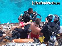 [P03] Ultimele sfaturi inainte de a intra intr-o alta lume , sub apa » foto by bogdansenior
 - 
<span class="allrVoted glyphicon glyphicon-heart hidden" id="av200408"></span>
<a class="m-l-10 hidden" id="sv200408" onclick="voting_Foto_DelVot(,200408,8284)" role="button">șterge vot <span class="glyphicon glyphicon-remove"></span></a>
<a id="v9200408" class=" c-red"  onclick="voting_Foto_SetVot(200408)" role="button"><span class="glyphicon glyphicon-heart-empty"></span> <b>LIKE</b> = Votează poza</a> <img class="hidden"  id="f200408W9" src="/imagini/loader.gif" border="0" /><span class="AjErrMes hidden" id="e200408ErM"></span>