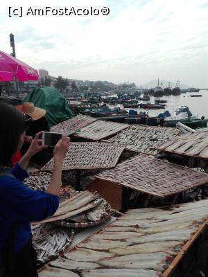 [P03] Cheung Chau, insula de pescari » foto by cristinasi
 - 
<span class="allrVoted glyphicon glyphicon-heart hidden" id="av943847"></span>
<a class="m-l-10 hidden" id="sv943847" onclick="voting_Foto_DelVot(,943847,8285)" role="button">șterge vot <span class="glyphicon glyphicon-remove"></span></a>
<a id="v9943847" class=" c-red"  onclick="voting_Foto_SetVot(943847)" role="button"><span class="glyphicon glyphicon-heart-empty"></span> <b>LIKE</b> = Votează poza</a> <img class="hidden"  id="f943847W9" src="/imagini/loader.gif" border="0" /><span class="AjErrMes hidden" id="e943847ErM"></span>