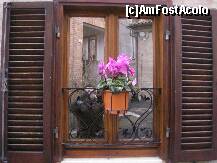 [P13]  -- <small>// FĂRĂ DESCRIERE</small> » foto by k
 - 
<span class="allrVoted glyphicon glyphicon-heart hidden" id="av178948"></span>
<a class="m-l-10 hidden" id="sv178948" onclick="voting_Foto_DelVot(,178948,8315)" role="button">șterge vot <span class="glyphicon glyphicon-remove"></span></a>
<a id="v9178948" class=" c-red"  onclick="voting_Foto_SetVot(178948)" role="button"><span class="glyphicon glyphicon-heart-empty"></span> <b>LIKE</b> = Votează poza</a> <img class="hidden"  id="f178948W9" src="/imagini/loader.gif" border="0" /><span class="AjErrMes hidden" id="e178948ErM"></span>