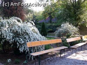 [P35] Manastirea Sf. Ioan Rusul din Slobozia Giurgiu. Primavara...  » foto by Floria
 - 
<span class="allrVoted glyphicon glyphicon-heart hidden" id="av1037281"></span>
<a class="m-l-10 hidden" id="sv1037281" onclick="voting_Foto_DelVot(,1037281,8317)" role="button">șterge vot <span class="glyphicon glyphicon-remove"></span></a>
<a id="v91037281" class=" c-red"  onclick="voting_Foto_SetVot(1037281)" role="button"><span class="glyphicon glyphicon-heart-empty"></span> <b>LIKE</b> = Votează poza</a> <img class="hidden"  id="f1037281W9" src="/imagini/loader.gif" border="0" /><span class="AjErrMes hidden" id="e1037281ErM"></span>