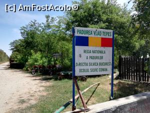 [P02]  -- <small>// FĂRĂ DESCRIERE</small> » foto by ⭐ValentinB_88⭐
 - 
<span class="allrVoted glyphicon glyphicon-heart hidden" id="av1213015"></span>
<a class="m-l-10 hidden" id="sv1213015" onclick="voting_Foto_DelVot(,1213015,8317)" role="button">șterge vot <span class="glyphicon glyphicon-remove"></span></a>
<a id="v91213015" class=" c-red"  onclick="voting_Foto_SetVot(1213015)" role="button"><span class="glyphicon glyphicon-heart-empty"></span> <b>LIKE</b> = Votează poza</a> <img class="hidden"  id="f1213015W9" src="/imagini/loader.gif" border="0" /><span class="AjErrMes hidden" id="e1213015ErM"></span>