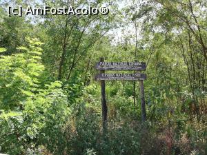 [P03] Parcul Natural Comana » foto by ⭐ValentinB_88⭐
 - 
<span class="allrVoted glyphicon glyphicon-heart hidden" id="av1213016"></span>
<a class="m-l-10 hidden" id="sv1213016" onclick="voting_Foto_DelVot(,1213016,8317)" role="button">șterge vot <span class="glyphicon glyphicon-remove"></span></a>
<a id="v91213016" class=" c-red"  onclick="voting_Foto_SetVot(1213016)" role="button"><span class="glyphicon glyphicon-heart-empty"></span> <b>LIKE</b> = Votează poza</a> <img class="hidden"  id="f1213016W9" src="/imagini/loader.gif" border="0" /><span class="AjErrMes hidden" id="e1213016ErM"></span>