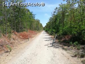 [P04] Parcul Natural Comana » foto by ⭐ValentinB_88⭐
 - 
<span class="allrVoted glyphicon glyphicon-heart hidden" id="av1213017"></span>
<a class="m-l-10 hidden" id="sv1213017" onclick="voting_Foto_DelVot(,1213017,8317)" role="button">șterge vot <span class="glyphicon glyphicon-remove"></span></a>
<a id="v91213017" class=" c-red"  onclick="voting_Foto_SetVot(1213017)" role="button"><span class="glyphicon glyphicon-heart-empty"></span> <b>LIKE</b> = Votează poza</a> <img class="hidden"  id="f1213017W9" src="/imagini/loader.gif" border="0" /><span class="AjErrMes hidden" id="e1213017ErM"></span>