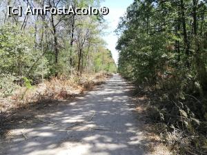 [P05] Parcul Natural Comana » foto by ⭐ValentinB_88⭐
 - 
<span class="allrVoted glyphicon glyphicon-heart hidden" id="av1213018"></span>
<a class="m-l-10 hidden" id="sv1213018" onclick="voting_Foto_DelVot(,1213018,8317)" role="button">șterge vot <span class="glyphicon glyphicon-remove"></span></a>
<a id="v91213018" class=" c-red"  onclick="voting_Foto_SetVot(1213018)" role="button"><span class="glyphicon glyphicon-heart-empty"></span> <b>LIKE</b> = Votează poza</a> <img class="hidden"  id="f1213018W9" src="/imagini/loader.gif" border="0" /><span class="AjErrMes hidden" id="e1213018ErM"></span>