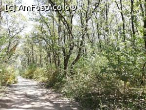 [P06] Parcul Natural Comana » foto by ⭐ValentinB_88⭐
 - 
<span class="allrVoted glyphicon glyphicon-heart hidden" id="av1213019"></span>
<a class="m-l-10 hidden" id="sv1213019" onclick="voting_Foto_DelVot(,1213019,8317)" role="button">șterge vot <span class="glyphicon glyphicon-remove"></span></a>
<a id="v91213019" class=" c-red"  onclick="voting_Foto_SetVot(1213019)" role="button"><span class="glyphicon glyphicon-heart-empty"></span> <b>LIKE</b> = Votează poza</a> <img class="hidden"  id="f1213019W9" src="/imagini/loader.gif" border="0" /><span class="AjErrMes hidden" id="e1213019ErM"></span>