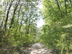 [P07] Parcul Natural Comana » foto by ⭐ValentinB_88⭐
 - 
<span class="allrVoted glyphicon glyphicon-heart hidden" id="av1213020"></span>
<a class="m-l-10 hidden" id="sv1213020" onclick="voting_Foto_DelVot(,1213020,8317)" role="button">șterge vot <span class="glyphicon glyphicon-remove"></span></a>
<a id="v91213020" class=" c-red"  onclick="voting_Foto_SetVot(1213020)" role="button"><span class="glyphicon glyphicon-heart-empty"></span> <b>LIKE</b> = Votează poza</a> <img class="hidden"  id="f1213020W9" src="/imagini/loader.gif" border="0" /><span class="AjErrMes hidden" id="e1213020ErM"></span>