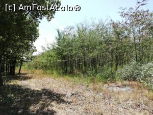 [P08] Parcul Natural Comana » foto by ⭐ValentinB_88⭐
 - 
<span class="allrVoted glyphicon glyphicon-heart hidden" id="av1213021"></span>
<a class="m-l-10 hidden" id="sv1213021" onclick="voting_Foto_DelVot(,1213021,8317)" role="button">șterge vot <span class="glyphicon glyphicon-remove"></span></a>
<a id="v91213021" class=" c-red"  onclick="voting_Foto_SetVot(1213021)" role="button"><span class="glyphicon glyphicon-heart-empty"></span> <b>LIKE</b> = Votează poza</a> <img class="hidden"  id="f1213021W9" src="/imagini/loader.gif" border="0" /><span class="AjErrMes hidden" id="e1213021ErM"></span>