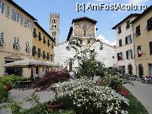 [P04] Lucca » foto by dr.razvan
 - 
<span class="allrVoted glyphicon glyphicon-heart hidden" id="av205497"></span>
<a class="m-l-10 hidden" id="sv205497" onclick="voting_Foto_DelVot(,205497,8341)" role="button">șterge vot <span class="glyphicon glyphicon-remove"></span></a>
<a id="v9205497" class=" c-red"  onclick="voting_Foto_SetVot(205497)" role="button"><span class="glyphicon glyphicon-heart-empty"></span> <b>LIKE</b> = Votează poza</a> <img class="hidden"  id="f205497W9" src="/imagini/loader.gif" border="0" /><span class="AjErrMes hidden" id="e205497ErM"></span>