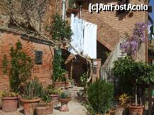 [P15] certaldo burg medieval 4, aici locuia o doamna, asta era trasa ei » foto by Rila
 - 
<span class="allrVoted glyphicon glyphicon-heart hidden" id="av208298"></span>
<a class="m-l-10 hidden" id="sv208298" onclick="voting_Foto_DelVot(,208298,8341)" role="button">șterge vot <span class="glyphicon glyphicon-remove"></span></a>
<a id="v9208298" class=" c-red"  onclick="voting_Foto_SetVot(208298)" role="button"><span class="glyphicon glyphicon-heart-empty"></span> <b>LIKE</b> = Votează poza</a> <img class="hidden"  id="f208298W9" src="/imagini/loader.gif" border="0" /><span class="AjErrMes hidden" id="e208298ErM"></span>