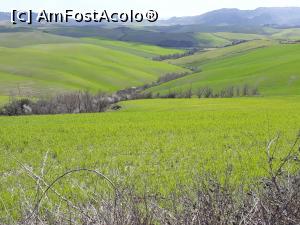 [P15] Peisaj de Toscana - în drum spre Volterra.  » foto by Aurici
 - 
<span class="allrVoted glyphicon glyphicon-heart hidden" id="av986202"></span>
<a class="m-l-10 hidden" id="sv986202" onclick="voting_Foto_DelVot(,986202,8341)" role="button">șterge vot <span class="glyphicon glyphicon-remove"></span></a>
<a id="v9986202" class=" c-red"  onclick="voting_Foto_SetVot(986202)" role="button"><span class="glyphicon glyphicon-heart-empty"></span> <b>LIKE</b> = Votează poza</a> <img class="hidden"  id="f986202W9" src="/imagini/loader.gif" border="0" /><span class="AjErrMes hidden" id="e986202ErM"></span>