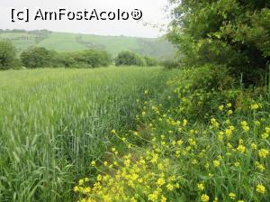 [P02] Peisaj din val d´ORCIA » foto by Michi
 - 
<span class="allrVoted glyphicon glyphicon-heart hidden" id="av740702"></span>
<a class="m-l-10 hidden" id="sv740702" onclick="voting_Foto_DelVot(,740702,8341)" role="button">șterge vot <span class="glyphicon glyphicon-remove"></span></a>
<a id="v9740702" class=" c-red"  onclick="voting_Foto_SetVot(740702)" role="button"><span class="glyphicon glyphicon-heart-empty"></span> <b>LIKE</b> = Votează poza</a> <img class="hidden"  id="f740702W9" src="/imagini/loader.gif" border="0" /><span class="AjErrMes hidden" id="e740702ErM"></span>