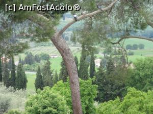 [P08] Pe o ramură se odihnesc trei păsărele » foto by Michi
 - 
<span class="allrVoted glyphicon glyphicon-heart hidden" id="av740712"></span>
<a class="m-l-10 hidden" id="sv740712" onclick="voting_Foto_DelVot(,740712,8341)" role="button">șterge vot <span class="glyphicon glyphicon-remove"></span></a>
<a id="v9740712" class=" c-red"  onclick="voting_Foto_SetVot(740712)" role="button"><span class="glyphicon glyphicon-heart-empty"></span> <b>LIKE</b> = Votează poza</a> <img class="hidden"  id="f740712W9" src="/imagini/loader.gif" border="0" /><span class="AjErrMes hidden" id="e740712ErM"></span>